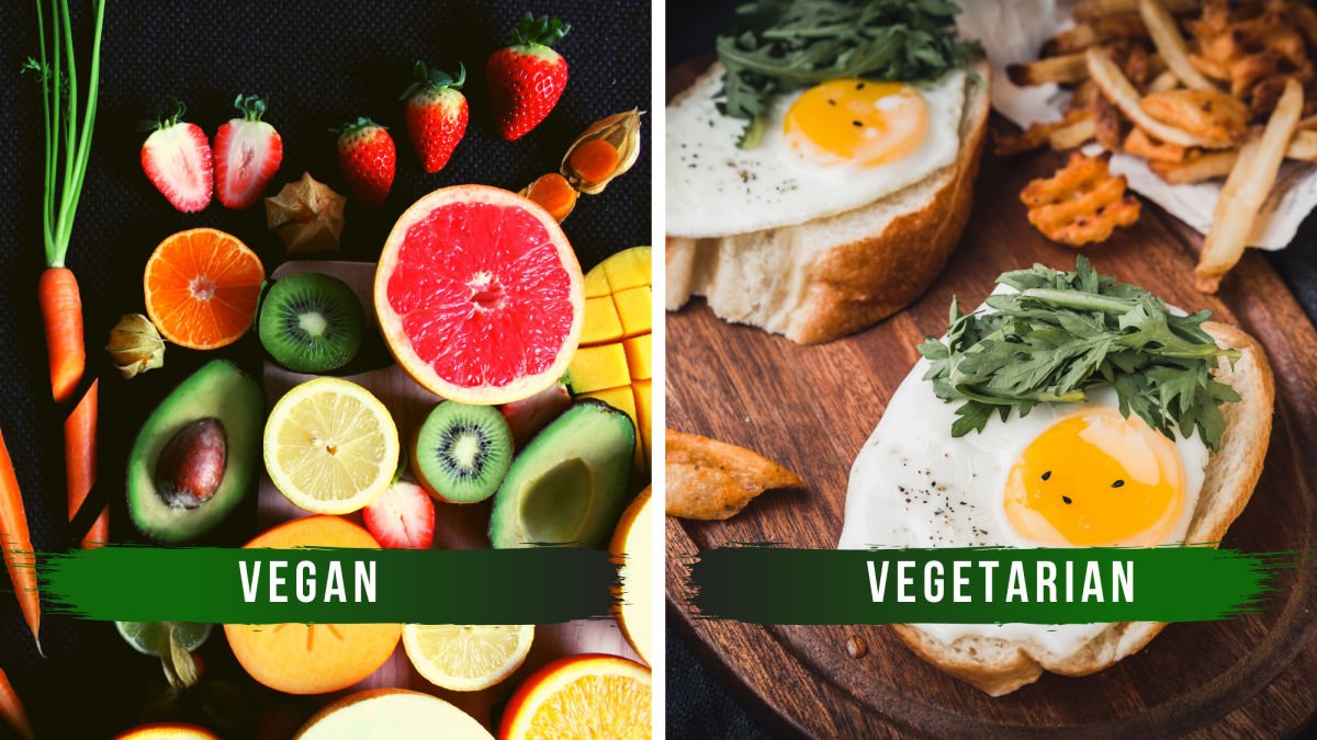 Vegetarianism and veganism - Neev Nutriton
